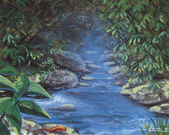 Stream of Life
