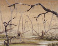 Swamp