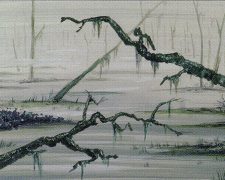 Swamp