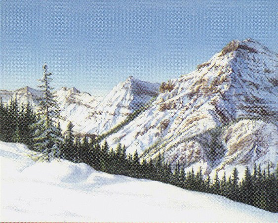 Taiga