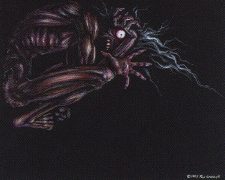 Terror