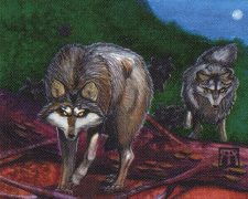 Timber Wolves