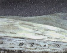 Tundra