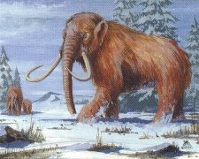 War Mammoth