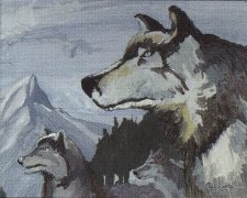 Aspect of Wolf