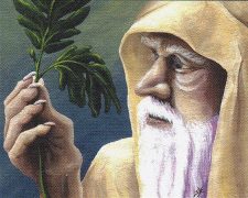 Ley Druid