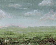 Plains