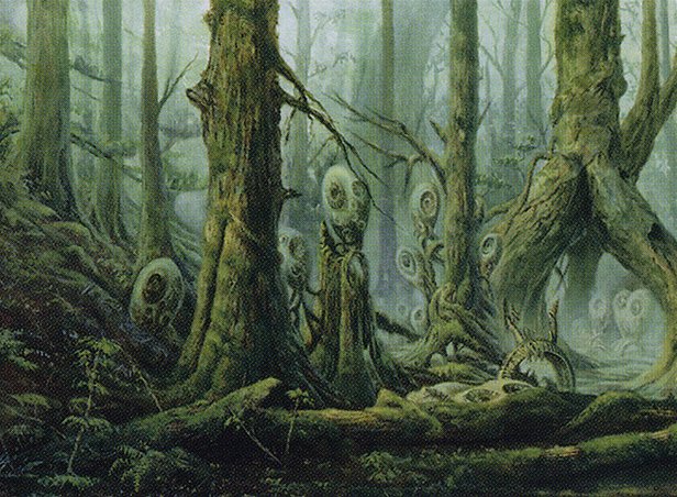 Forest