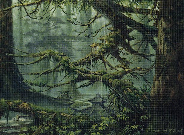 Forest
