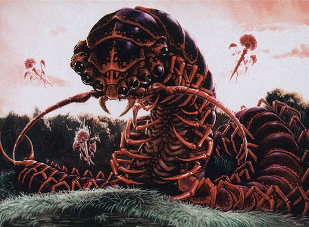 Thousand-legged Kami