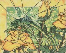 Emerald Dragonfly