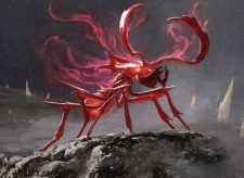 Agitator Ant