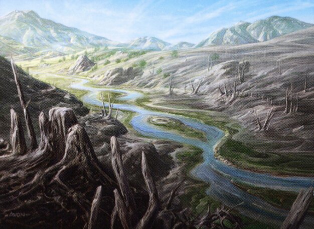 Ash Barrens