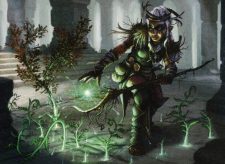 Circle of the Land Druid