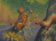 Cloakwood Hermit