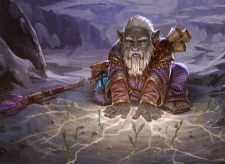 Deep Gnome Terramancer