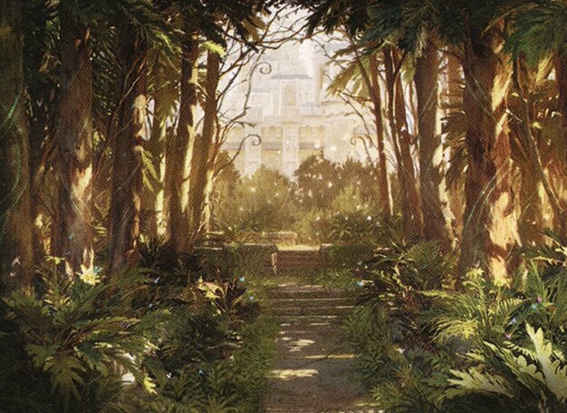 Forest