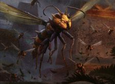 Hornet Queen