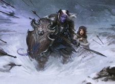 Icewind Stalwart