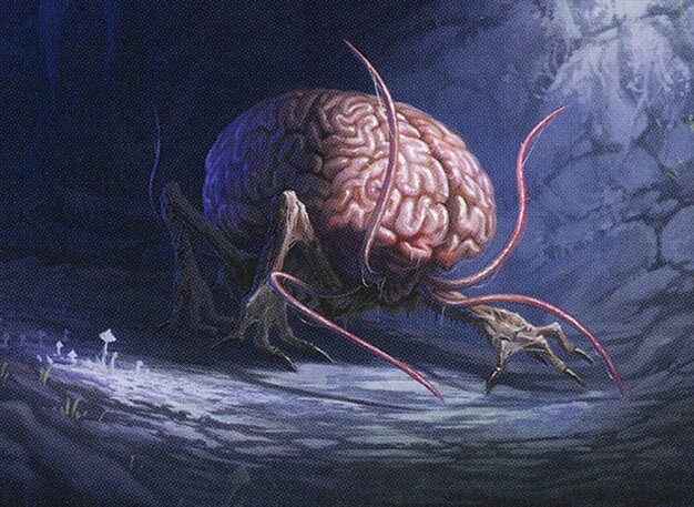 Intellect Devourer