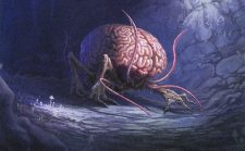 Intellect Devourer