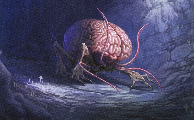 Intellect Devourer