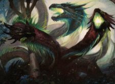 Managorger Hydra