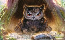 Owlbear Cub