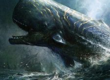 Pursued Whale