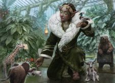 Rumor Gatherer