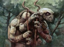 Sakura-Tribe Elder