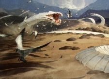 Sandwurm Convergence