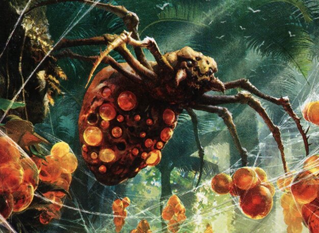 Sweet-Gum Recluse