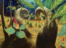 Terramorph