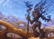 Traverse the Outlands