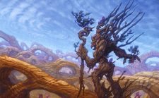 Traverse the Outlands