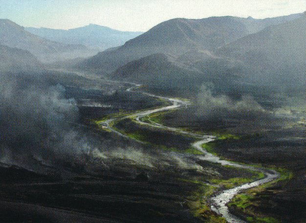 Ash Barrens