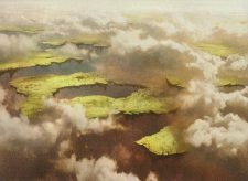 Drifting Meadow