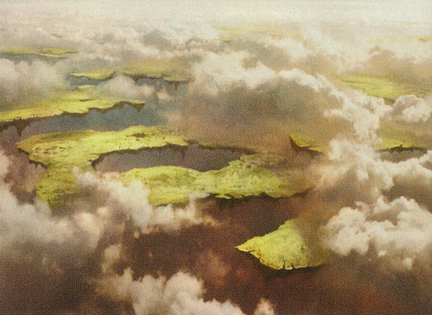Drifting Meadow