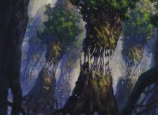 Evolving Wilds