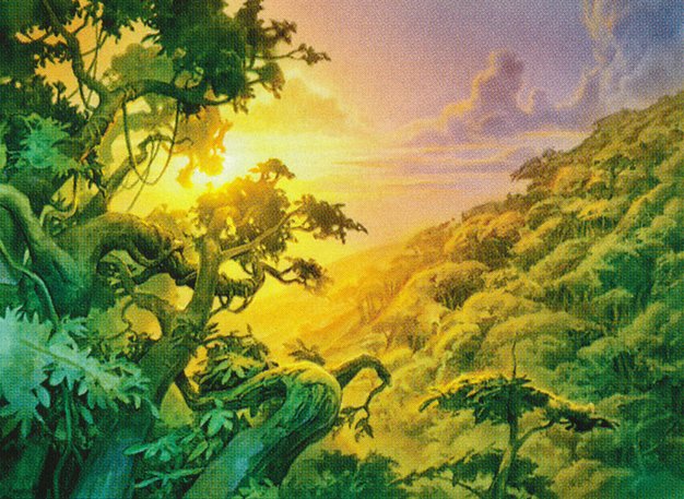 Forest