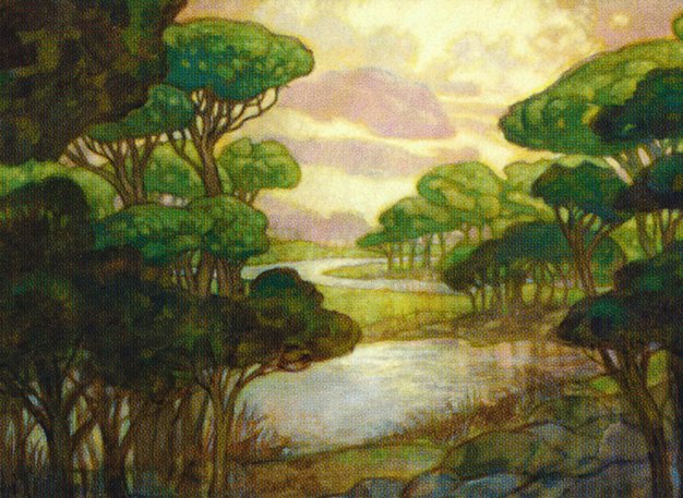 Forest