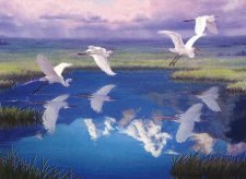 Migratory Route