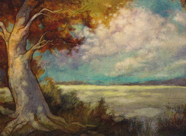 Plains
