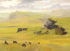 Plains