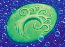 Simic Signet