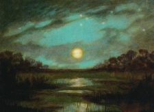 Swamp