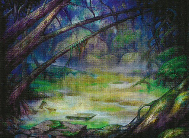 Swamp