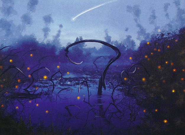 Swamp