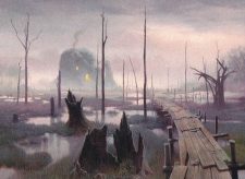 Swamp